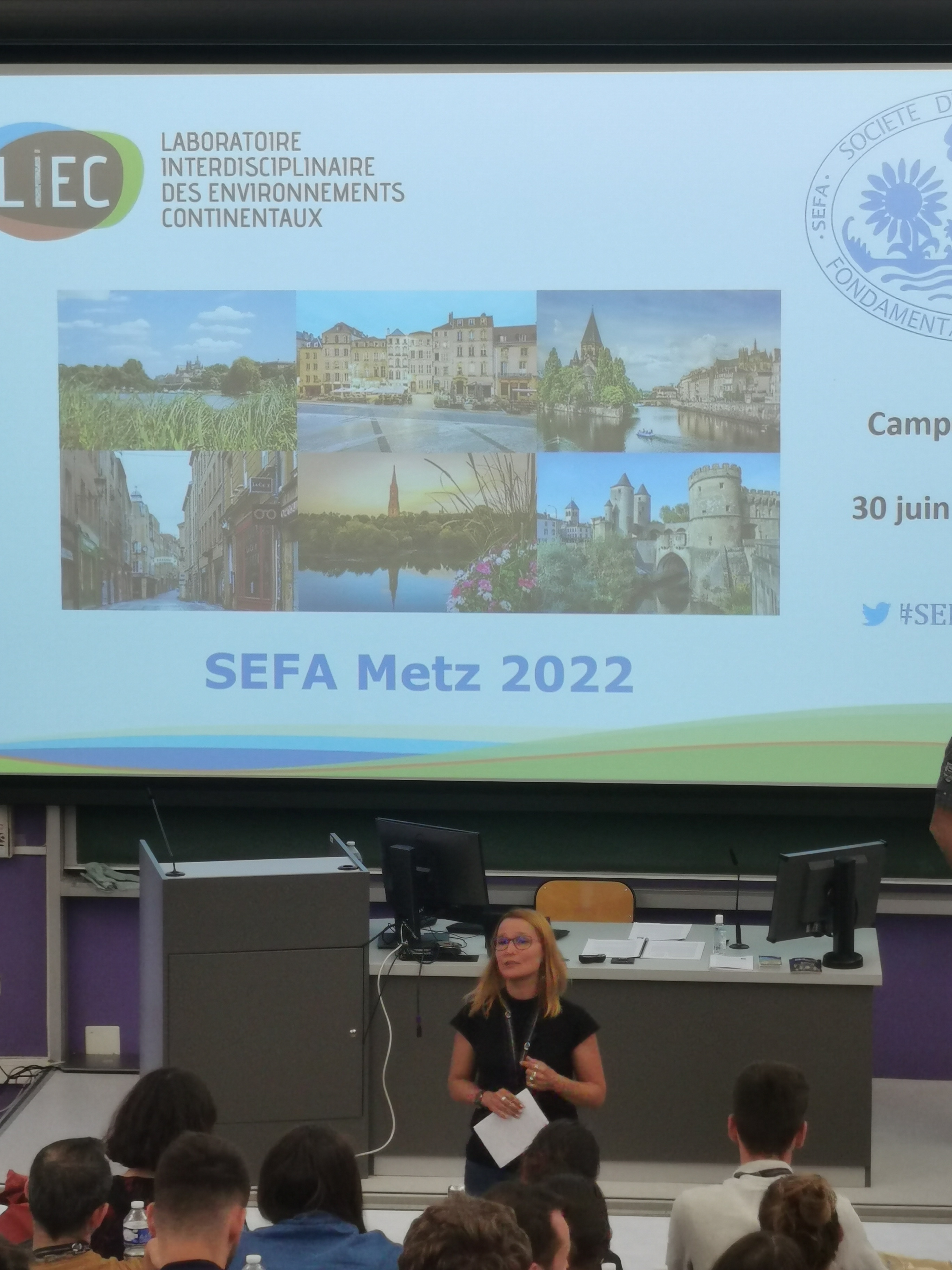 sefa